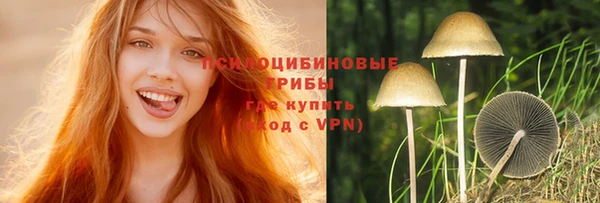 первитин Богородск