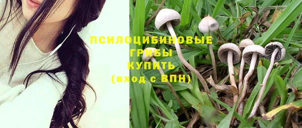 apvp Богородицк