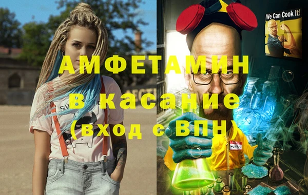 индика Верхний Тагил