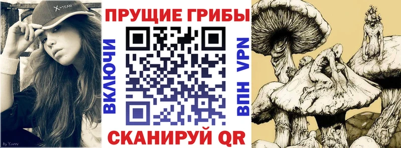 Псилоцибиновые грибы Cubensis  Гороховец 