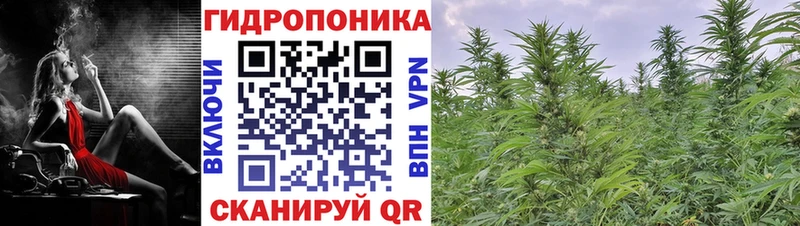 наркота  Гороховец  Каннабис тримм 
